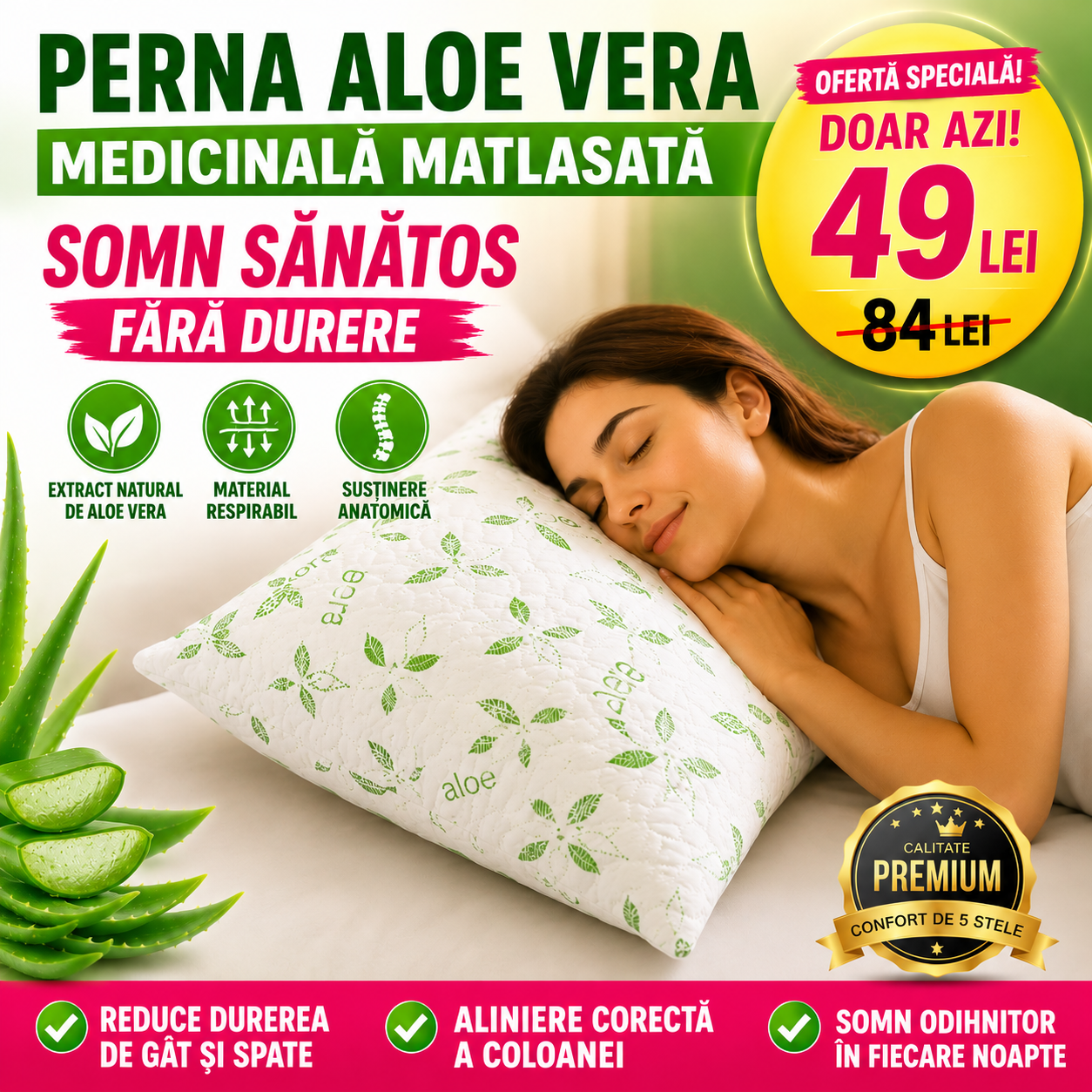 Perna Premium Aloe Vera Matlasata 50x70cm