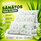 Perna Premium Aloe Vera Matlasata 50x70cm