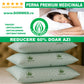 Perna Premium Aloe Vera Matlasata 50x70cm